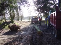  ready for lengthing and loading to trailer